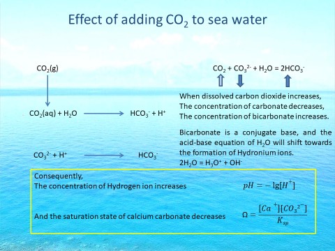 Mauritius Oceanography Institute - Oceanic Carbonate Chemistry Observatory